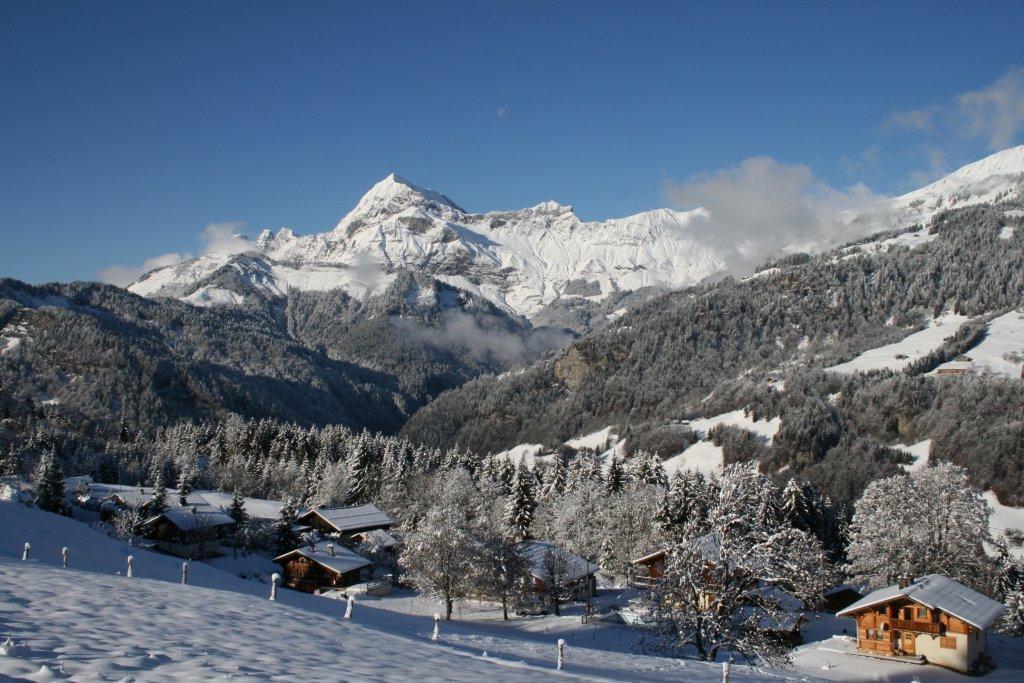 Les Bouquetins - Piscine chauffée (en été) et Piste de luge (hiver)