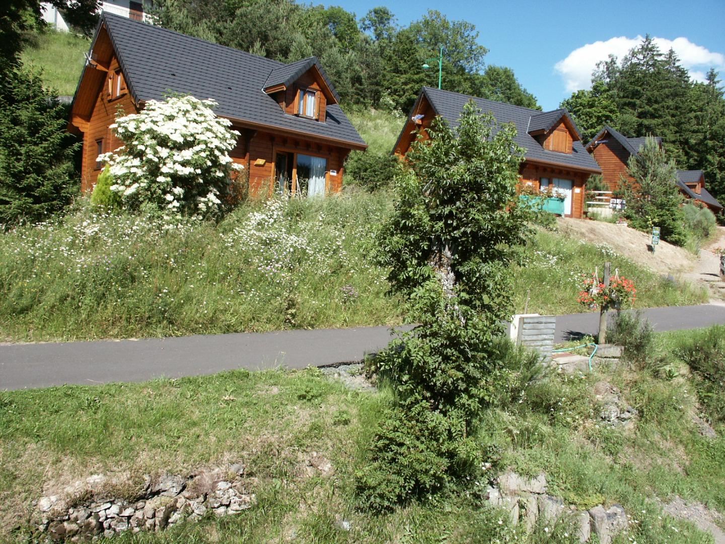 Les Chalets du Lac Chambon bois massif avec une exposition plein sud