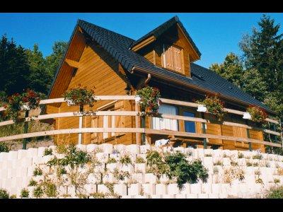 Les Chalets du Lac Chambon bois massif avec une exposition plein sud