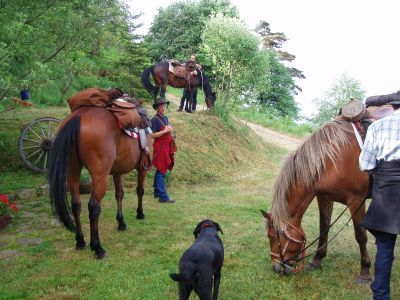 Chalet des Blancs (Gite de Charme Tout confort )