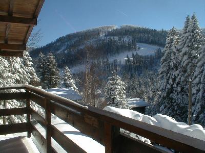ENCORE DES DISPO  FEVRIER /MARS CHALET BOIS 500 METRES DES PISTES TS CONFORTS cheminée 70 m² 5/6 pers CLAS 2* 