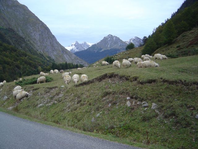 L' été