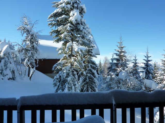 Le Mélèze, chalet cosy et familial