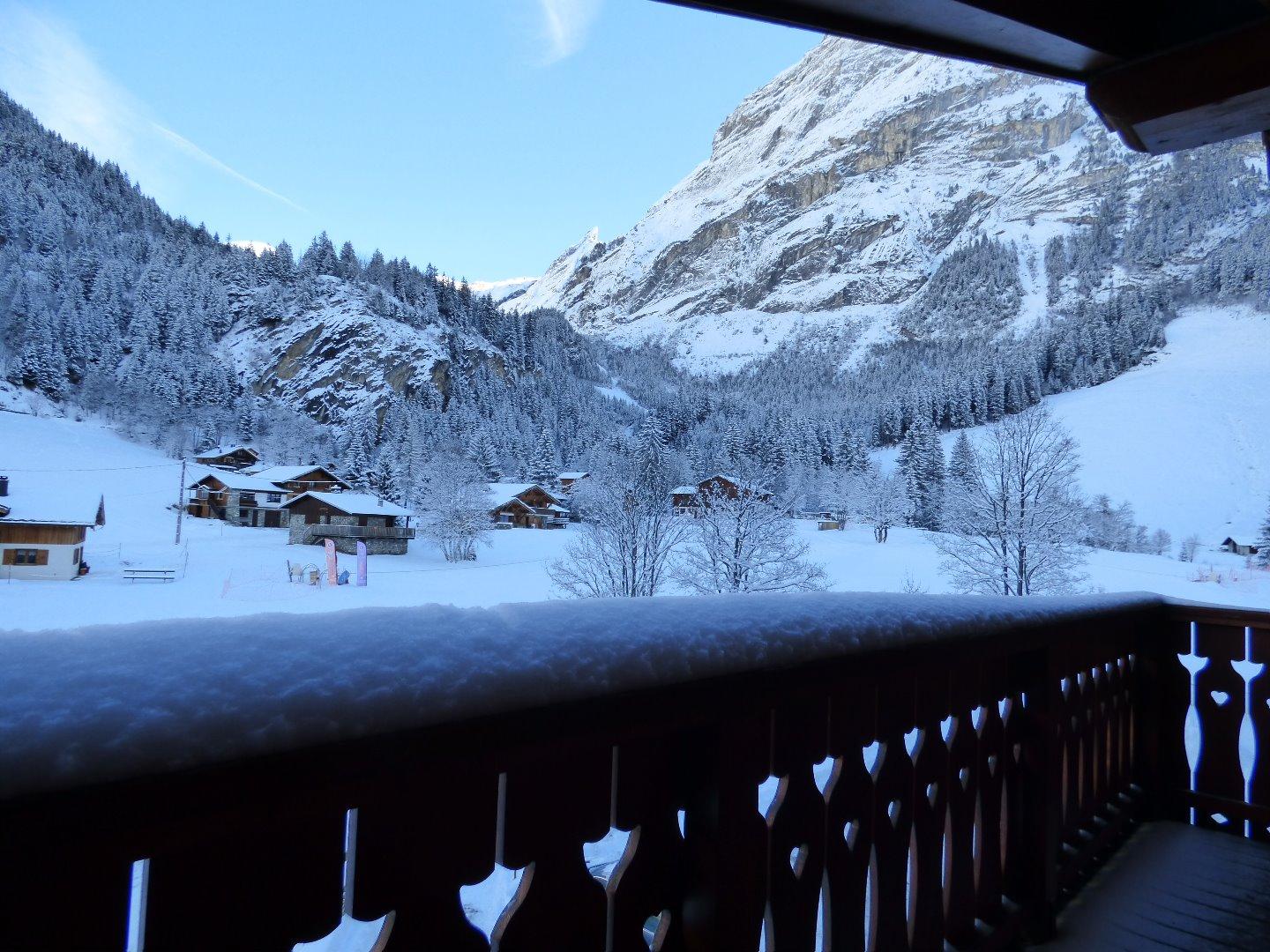 LE  DOME DES SONNAILLES, A LA FERME DE PRALOGNAN