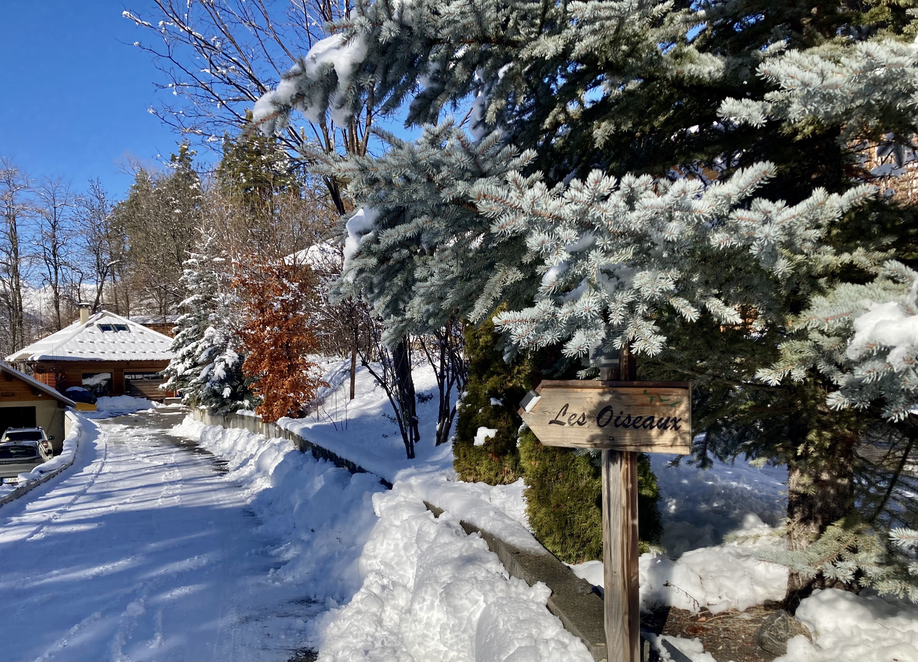 LES OISEAUX P'Chalet