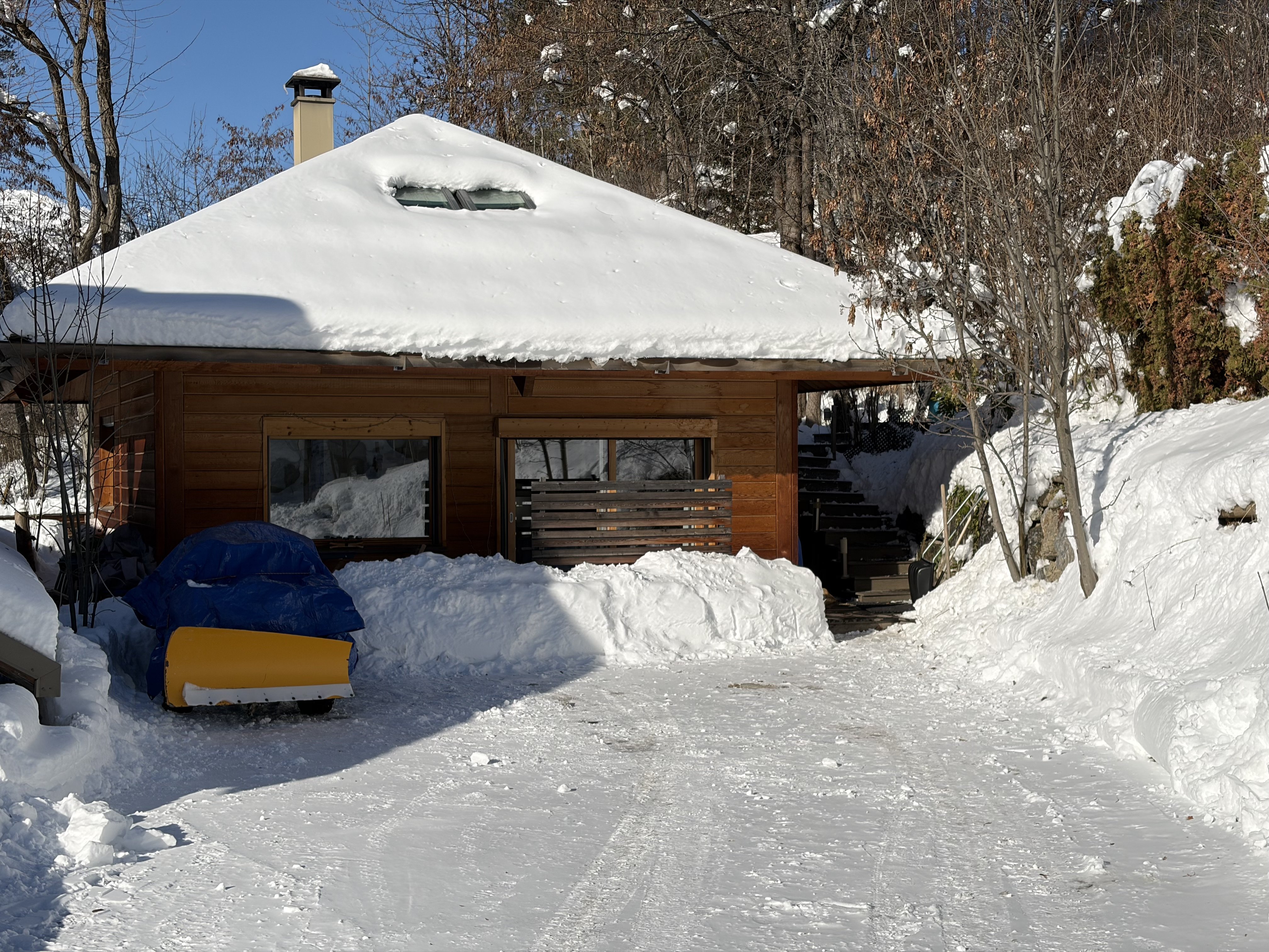 LES OISEAUX P'Chalet