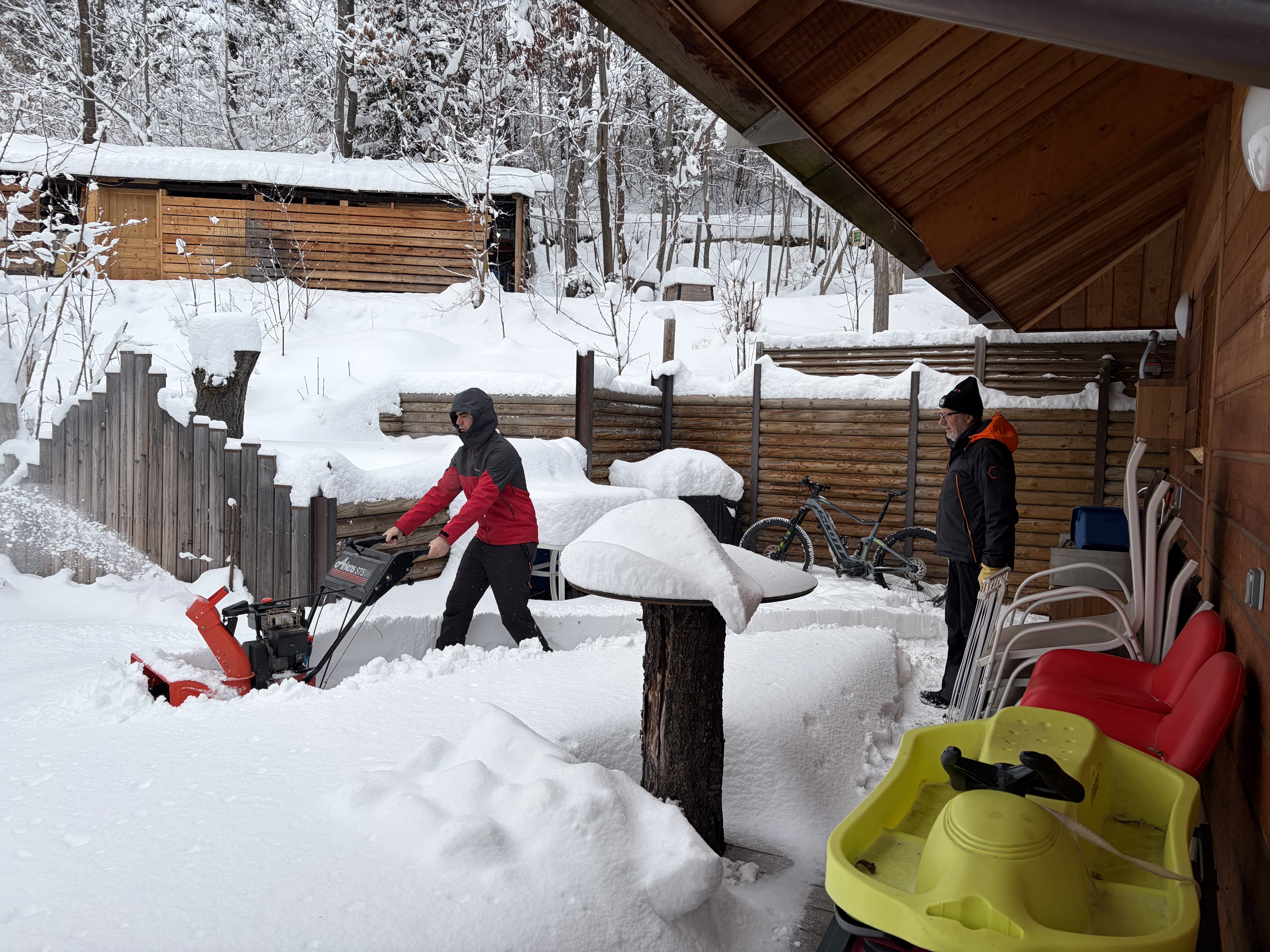 LES OISEAUX P'Chalet