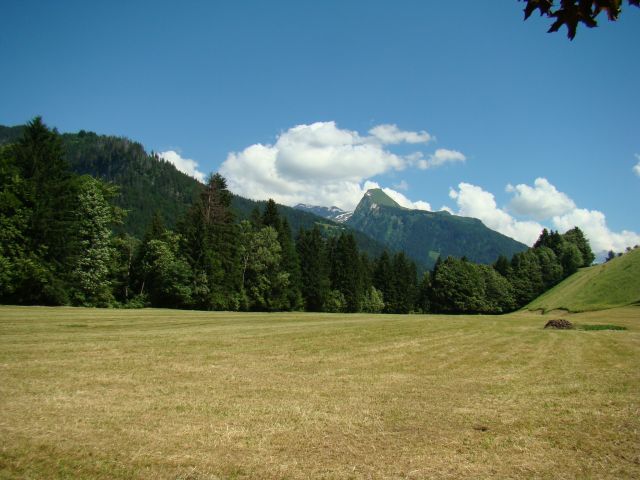 Immense espace naturel devant le chalet... en été