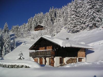 CHALET D'ALPAGE LES SAISIES