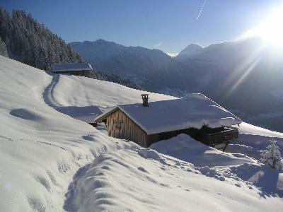 CHALET D'ALPAGE LES SAISIES