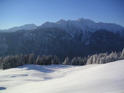 CHALET D'ALPAGE LES SAISIES