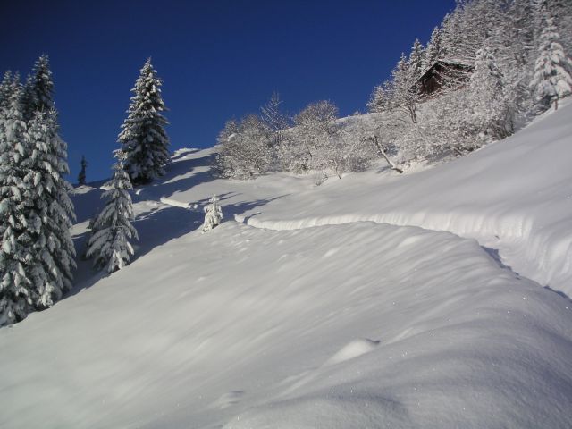 CHALET D'ALPAGE LES SAISIES