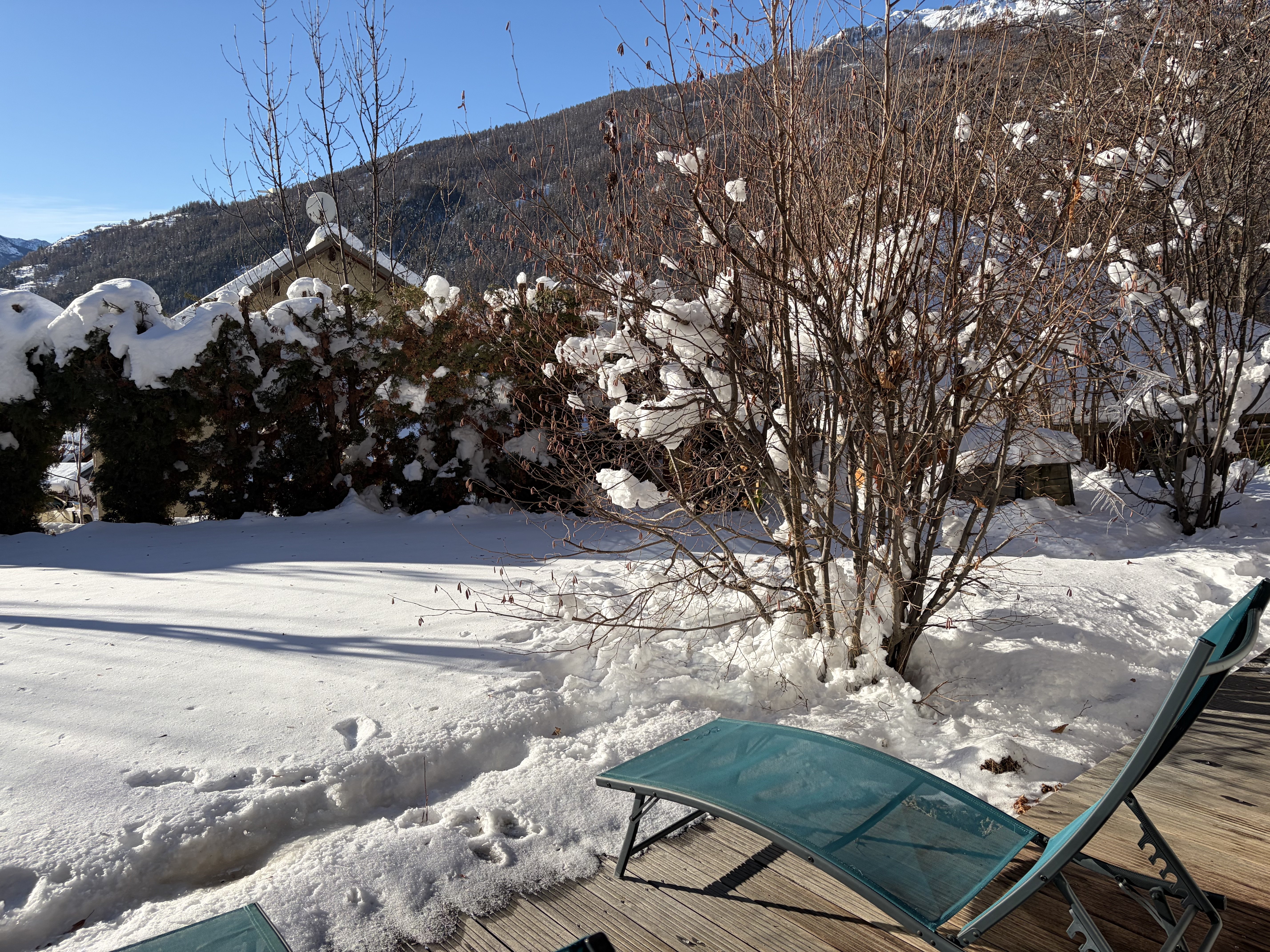 SERRE CHEVALIER LES OISEAUX