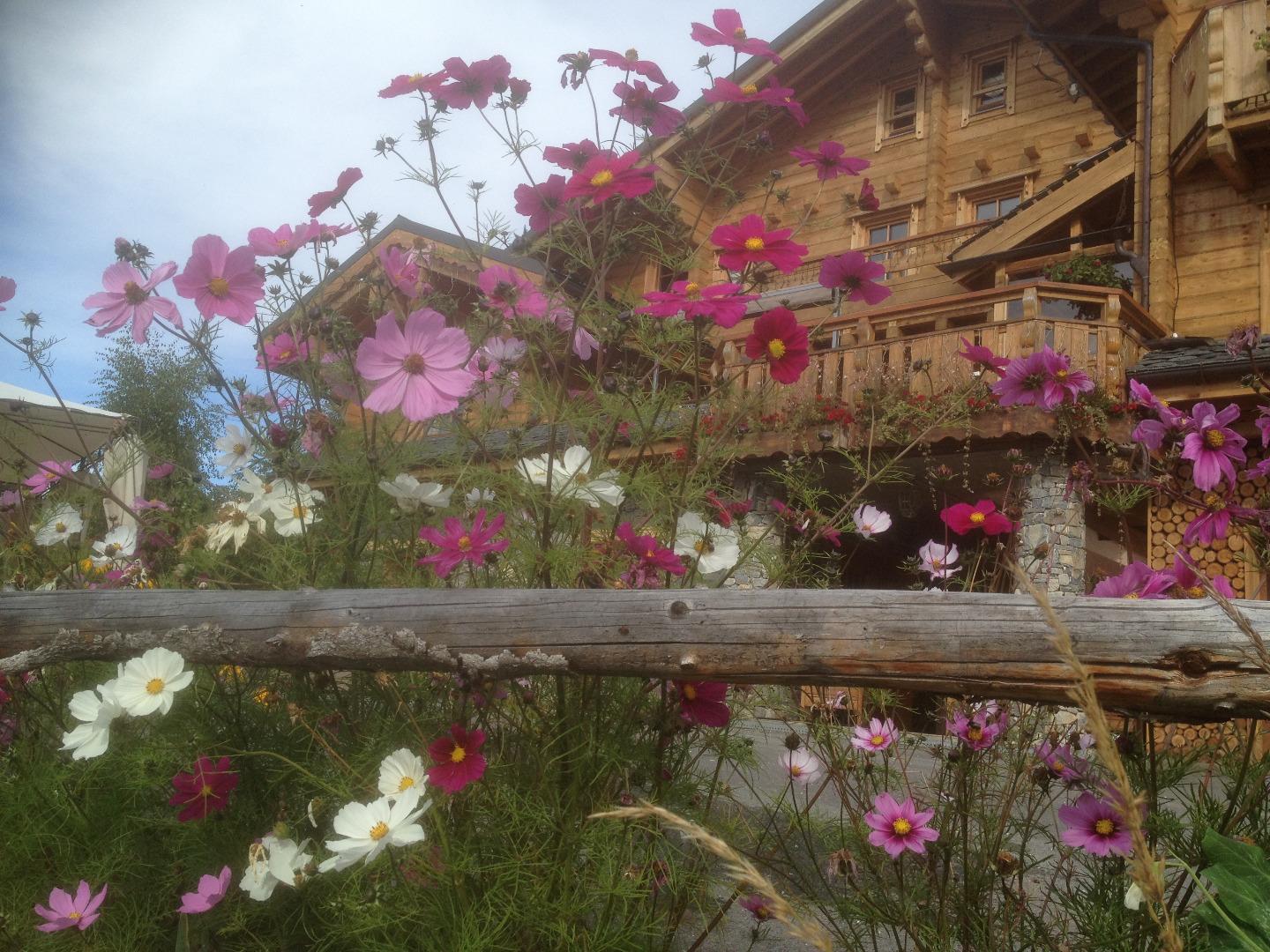 Chalet Fleurs des Neiges **** modulable de 6 à 28 personnes - La Plagne