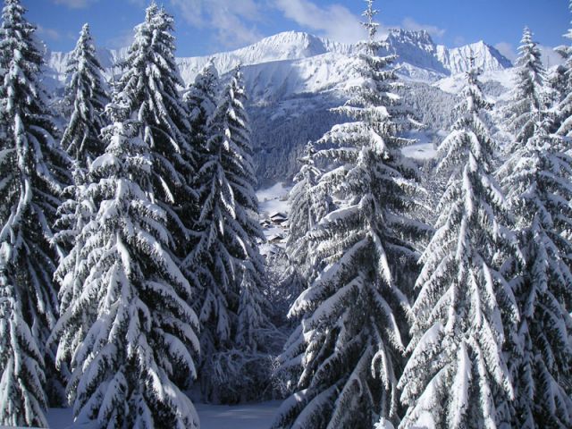 RESIDENCE L'EDELWEISS 