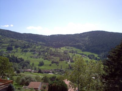 CHALET DES FOUGERES