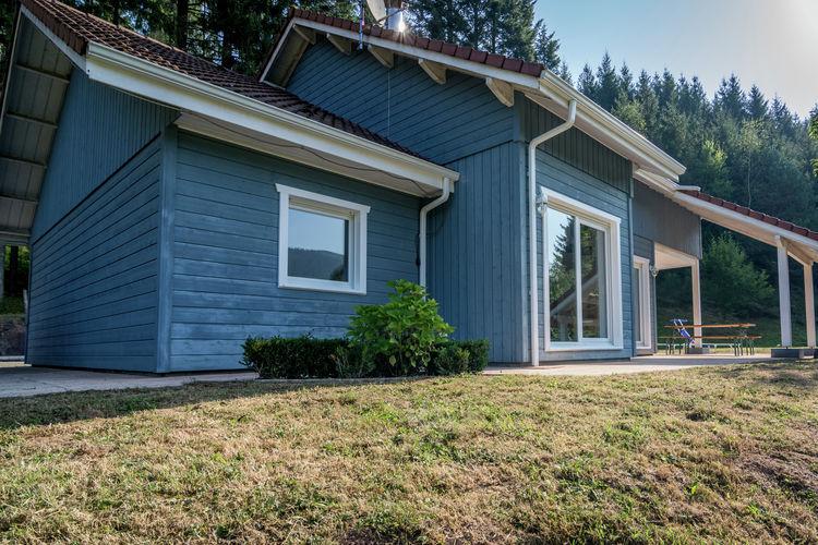 le chalet bleu en bois moderne au milieu de la forêt sur 6 hectares