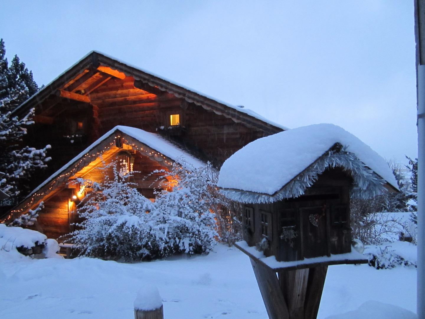 AU PETIT MATIN !!
 sous la neige ( la boite aux lettres a voulu imiter le chalet ? !!! )