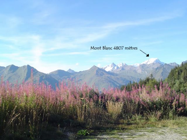 Authentique chalet d'Alpage