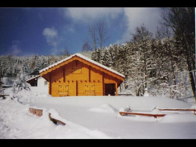 CHALET BOIS MASSIF