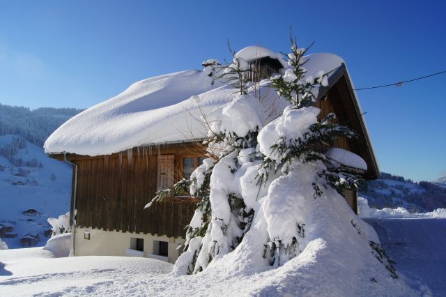 Ferme d'Eugénie, Chalet de charme idéal famille, déco bois, bel aménagement