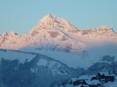 les Cigales