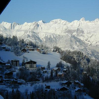 alpenrose 112