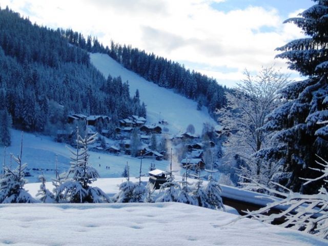 Du salon: l'hiver, vue de la piste des Servages