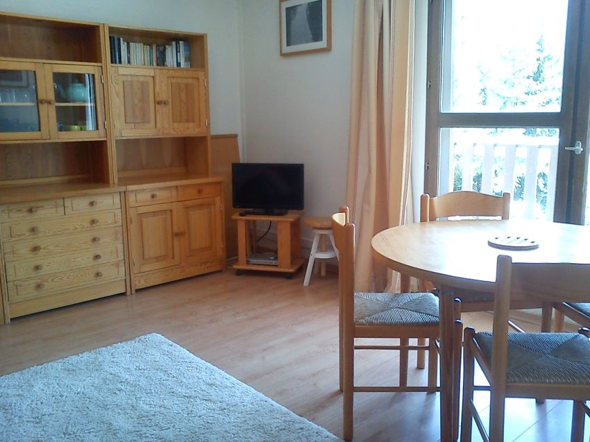 Lyre - Agréable appartement - Vue pistes