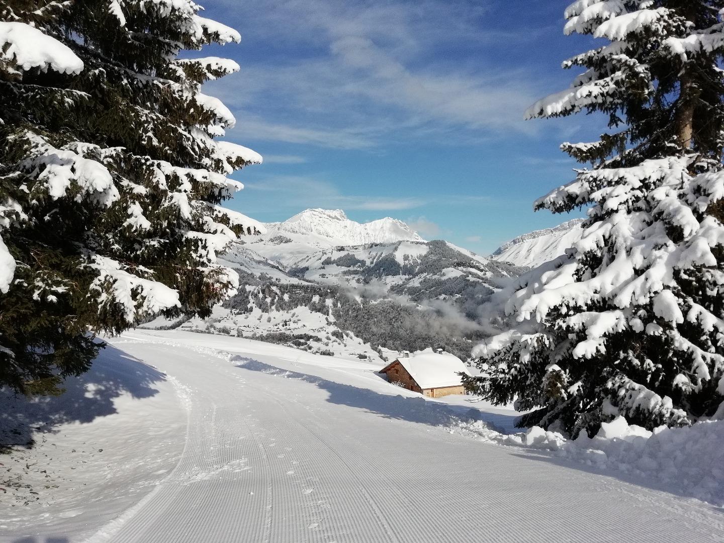 L'Alpage de CRESTERA,  appartement MONT CHARVIN superbe vue panoramique, ESPACE DIAMANT