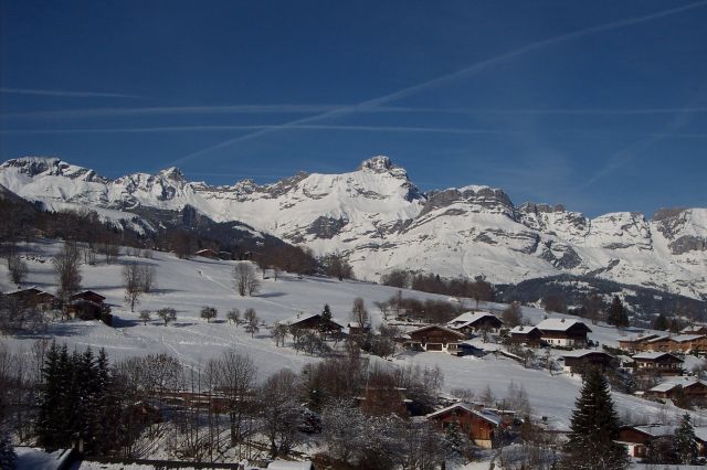 Chalet la Tanaisie