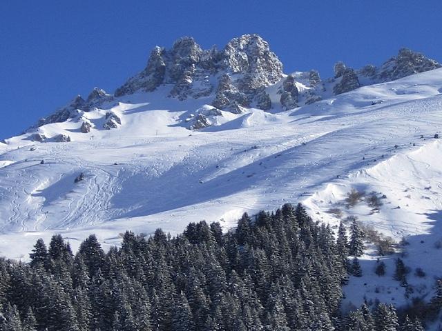 Les Bleuets Club-Hôtel