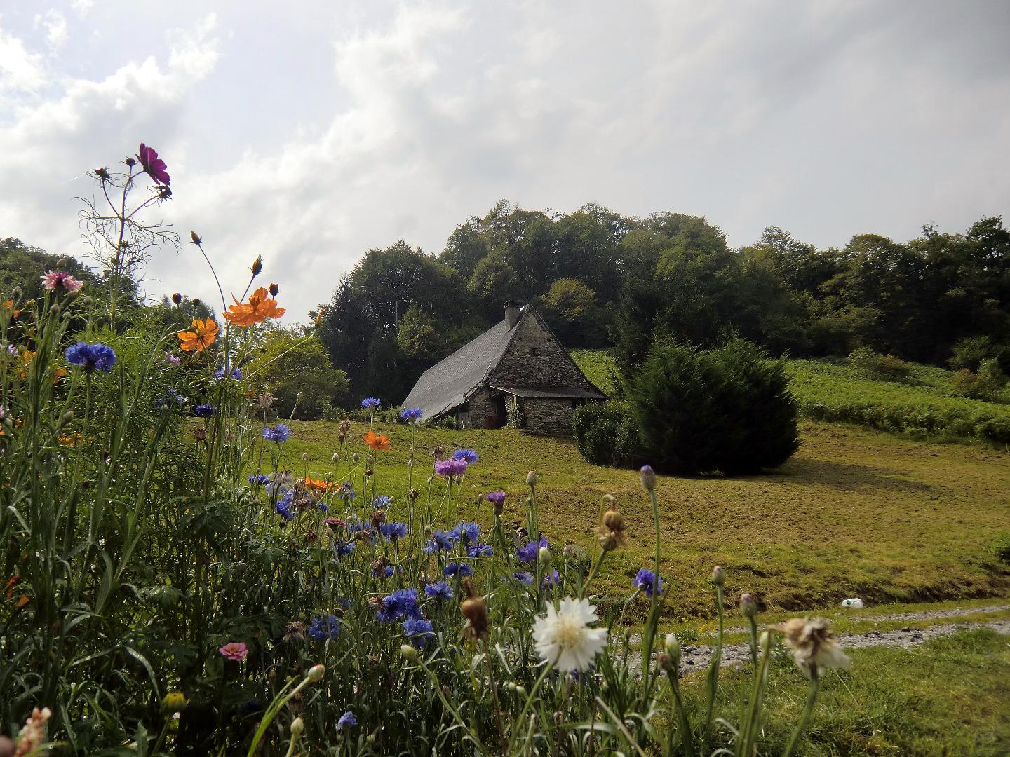 Bergerie de la Montagne Verte