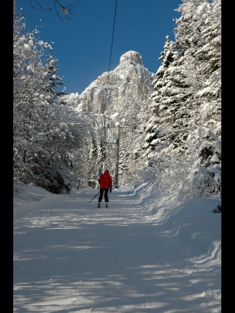 chalets du vieux frene