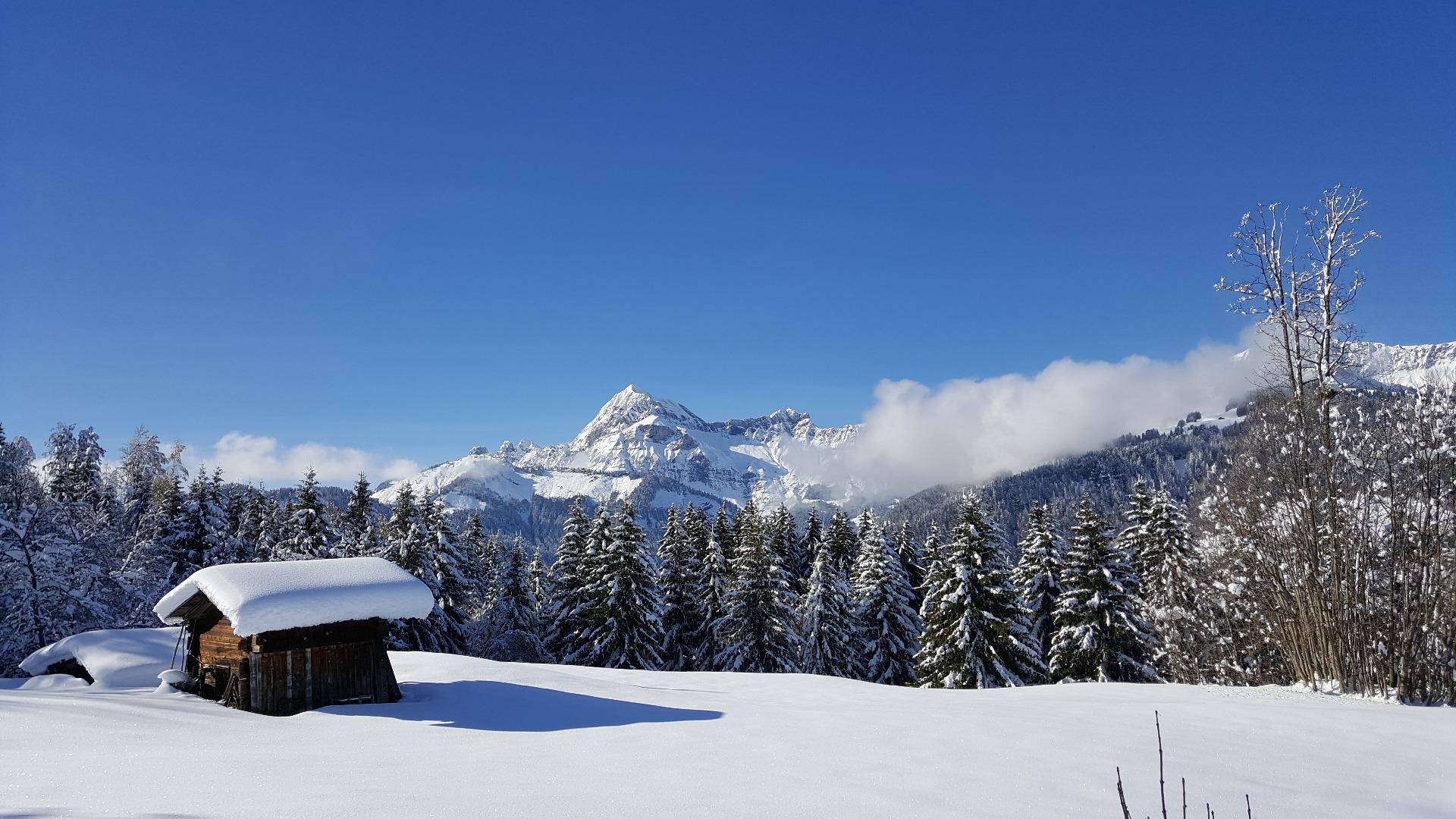 L'ETOILE DU BERGER
