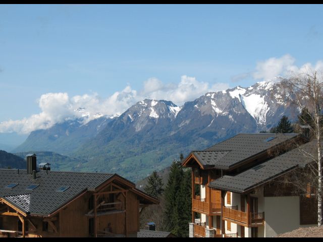 Petite Ourse avec Piscine