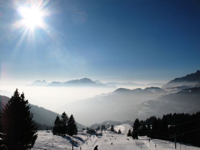 Petite Ourse avec Piscine