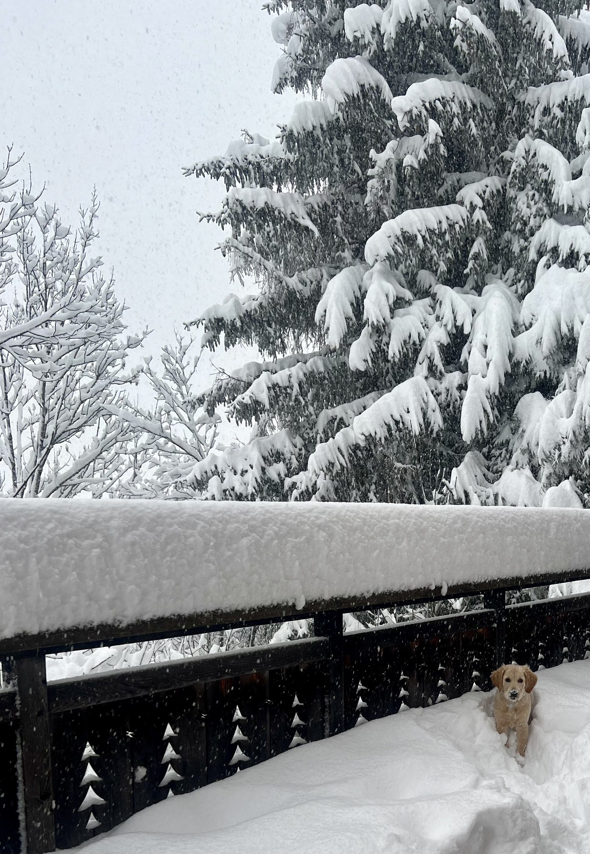 Chalet Megeve 10 personnes proche pistes et calme