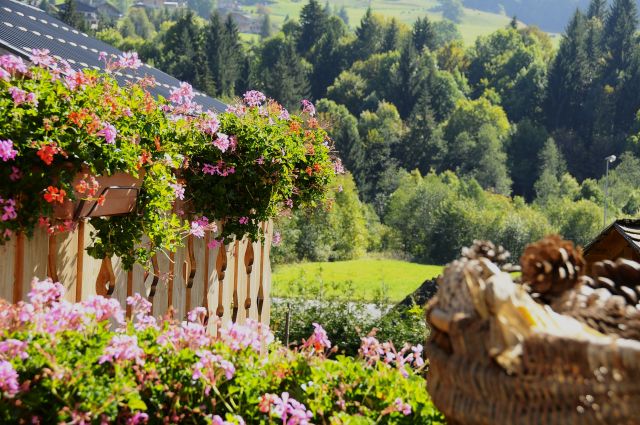 Chalet Fleurs et Flocons
