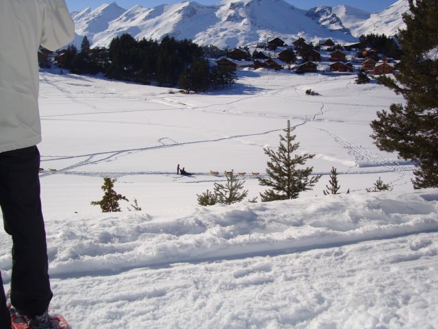 le chalet à" Station de la Joue du Loup"