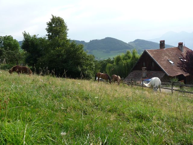 Gite 40m2 en campagne