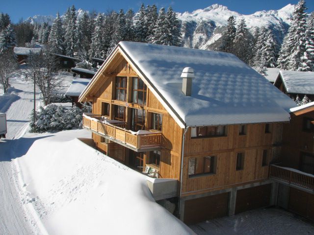 au chalet forestier  logement le bouquetin