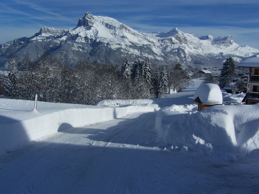 CHALET ISATIS