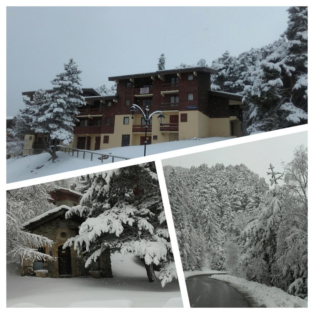 LES CAMPANULES, N° 59