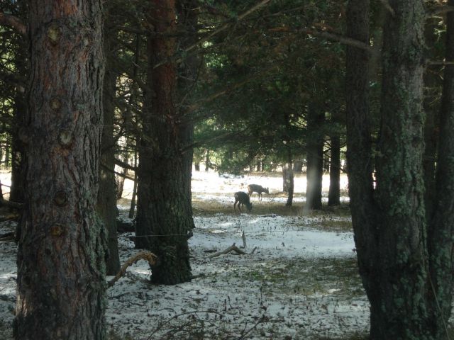Studio cabine aux angles