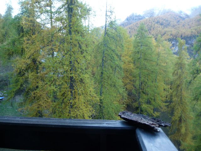 GRAND STUDIO 4 PERSONNES