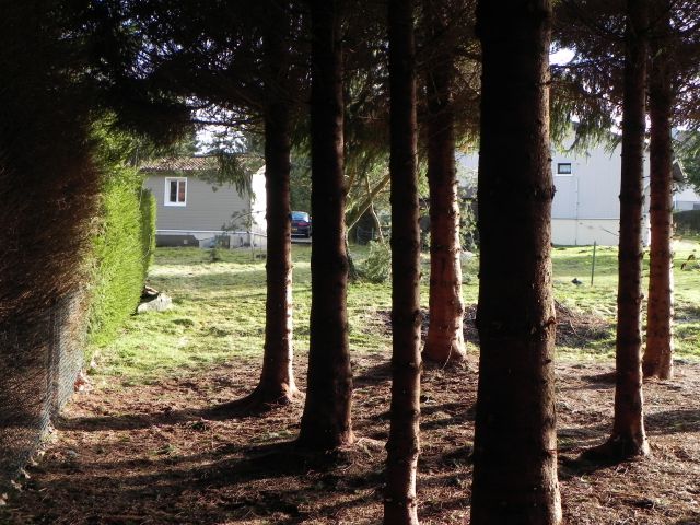 Chalet Champdray 88640 village typique vosgien