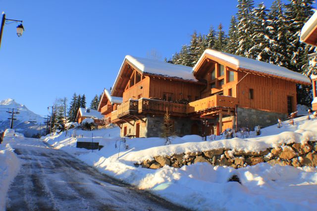 CHALET FIU AVEC JACUZZI PRIVATIF 