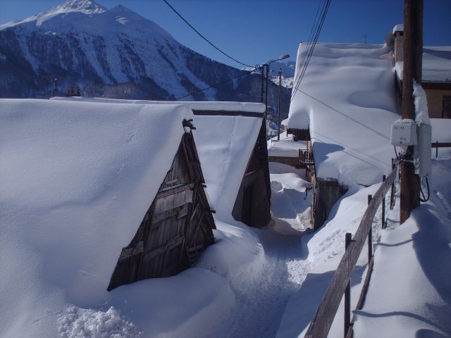 GITE DU BOIS DE L'OURS