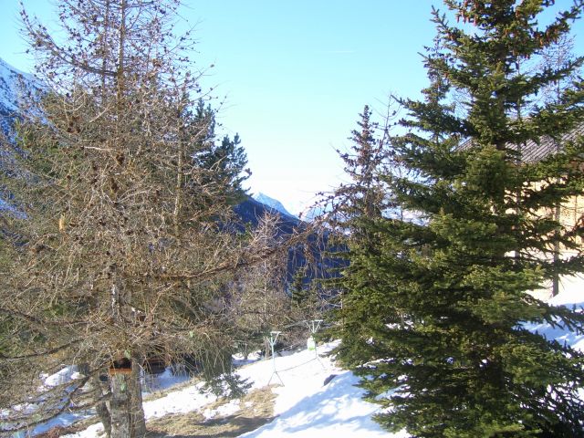 Chalet "Les Barabans" - appartement les marmottes